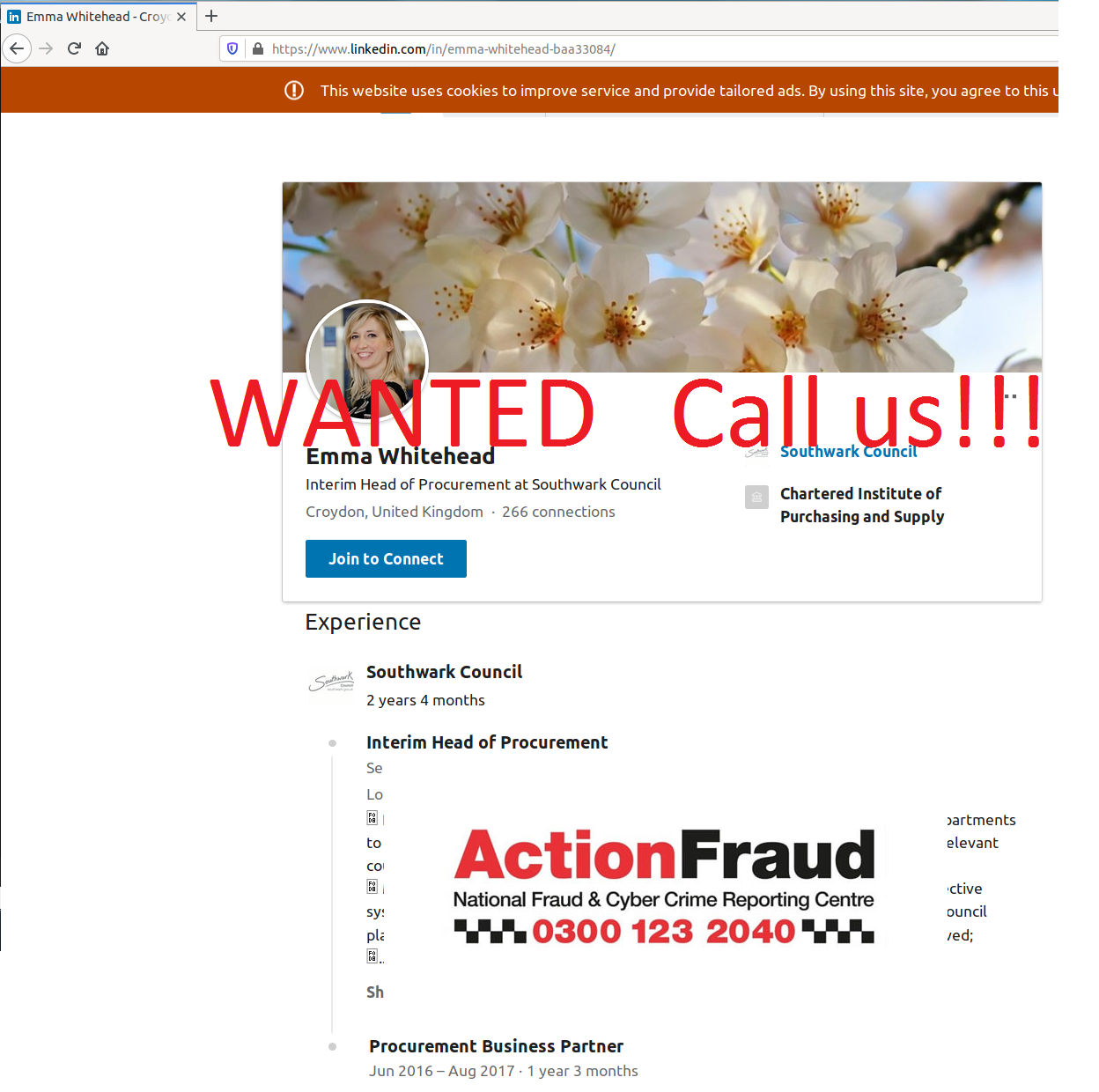 Emma Whitehead Emmapitchers Instagram